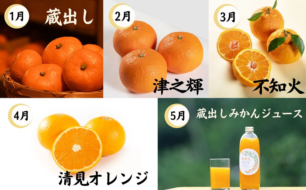 【定期便/全10回】厳選・柑橘の定期便 和歌山県下津町から農園直送！まごころ産直みかん【北海道・沖縄県・一部離島 配送不可】旬 みかん 早生 由良 完熟 蔵出し 津之輝 甘夏 不知火