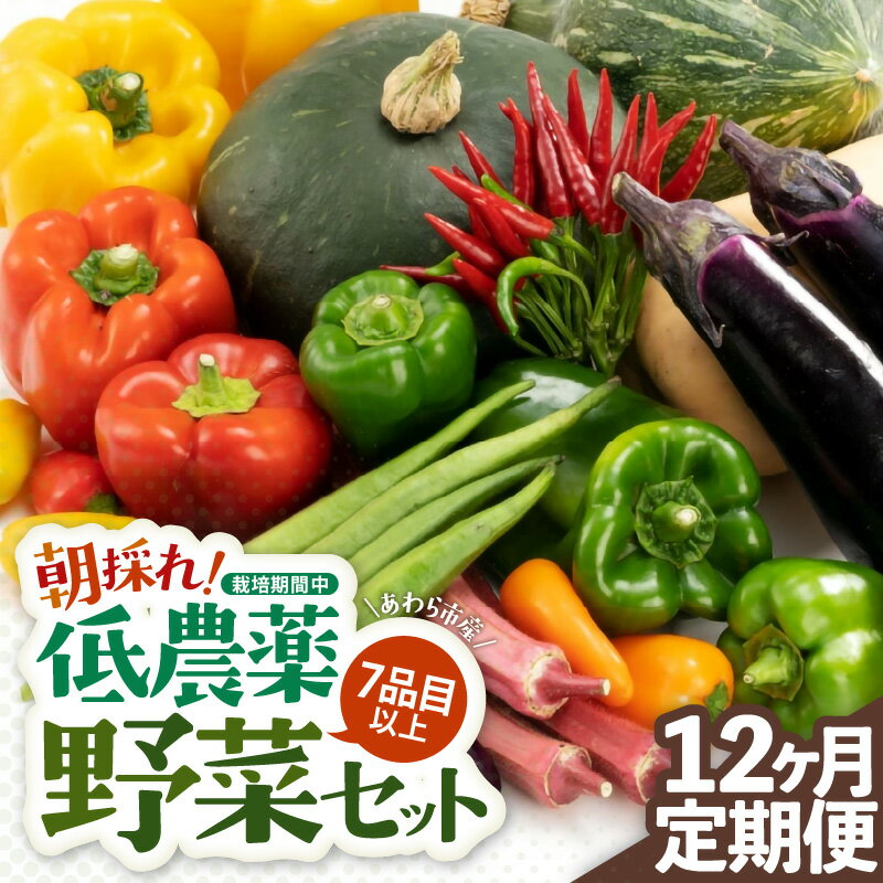 【ふるさと納税】【12ヶ月連続お届け】農家直送 旬の野菜セット 7品目以上 1箱 ／ 定期便 12回 季節 野菜 ボックス BOX セット セレクト 農家 おまかせ 多品目 旬 詰め合わせ 根菜 葉物