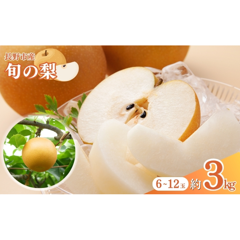 2026年産  農家おすすめ「梨」（幸水または豊水）約3kg（6玉～12玉） 果物 フルーツ デザート 食後 秋の味覚 旬の果物 果汁たっぷり ジューシー 