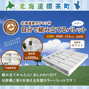 「自分で組み立てるカラーパレット」1200×1000×115（mm）片面使用型