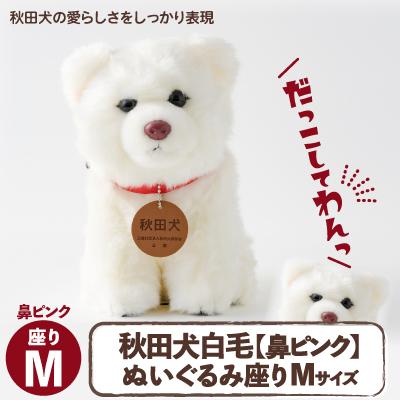 ふるさと納税 大館市 秋田犬白毛(鼻ピンク)ぬいぐるみ　座りMサイズ