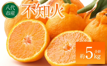 【先行予約】 不知火 デコみかん (デコポン同品種) 約5kg (12～24玉) みかん 柑橘 【2027年2月上旬より順次発送】
