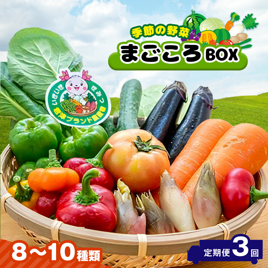 
定期便 JAきみつ 季節の野菜まごころBOX【月1回・計3回】人気の直売所 | 野菜 やさい 詰合せ セット 定期 定期便 朝採れ 旬野菜 新鮮 オススメ 千葉県 君津市 きみつ
