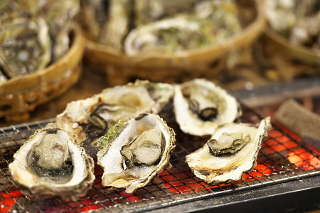 【発送時期が選べる】魚介類 牡蠣 /能登風土 七尾産「能登かき」殻付き（半斗缶）◇ ※必ずよく加熱してお召し上がりください※離島への配送不可 ※2025年11月下旬～2026年5月上旬頃に順次発送予定