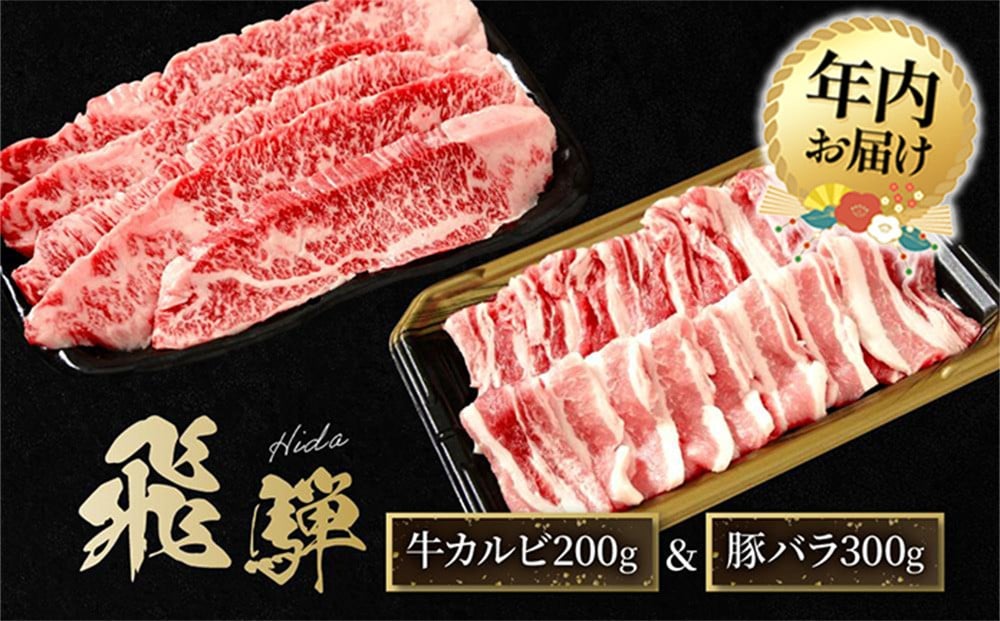 
            【年内配送が選べる】飛騨牛 カルビ200g & 飛騨豚 バラ300g | 発送時期が選べる 年内発送 食べ比べ セット 焼肉 国産牛 豚肉 飛騨高山 人気 おいしい ファミリーストアさとう CY043VP
          