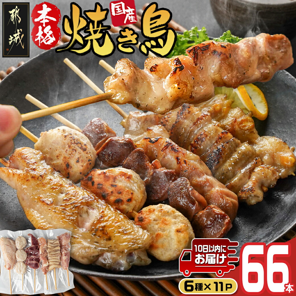 職人串打ちの本格焼き鳥66本!!≪みやこんじょ特急便≫_MJ-3312-Q