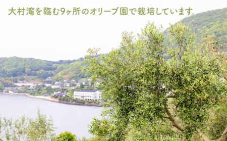 【全12回定期便】 オリーブ ハーブティー 40個（8個入×5袋）《長与町》【ゆきのヶ丘オリーブ園】 [EAV004]