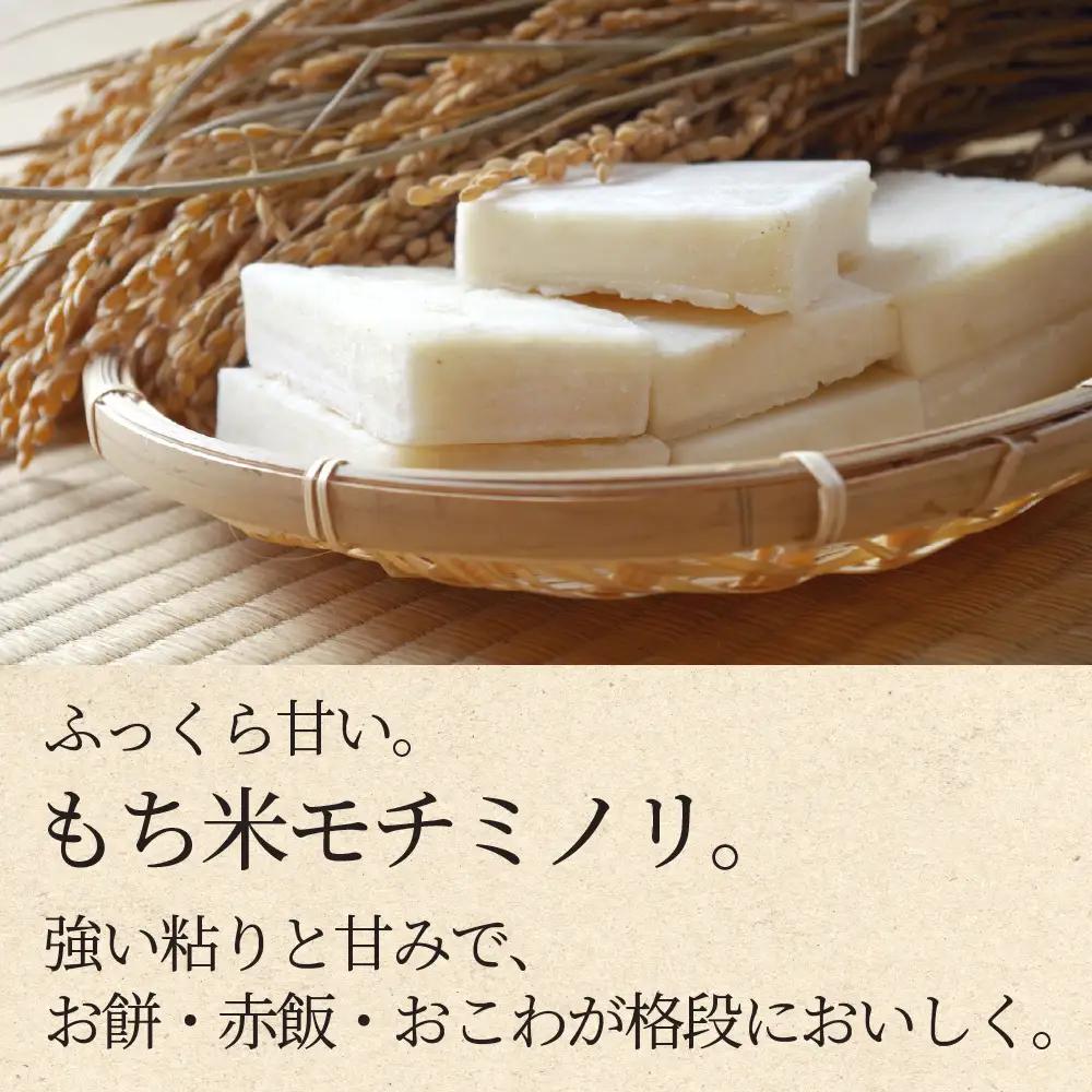 ≪令和8年度産≫先行予約 もち米 モチミノリ 5kg｜もち米