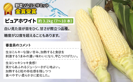 【先行受付2026年発送】野菜ソムリエサミット金賞受賞！東御市産とうもろこし（ピュアホワイト）約3.2kg（7～10本） | スイートコーン※2026年7月上旬～9月上旬頃に順次発送予定※着日指定不可