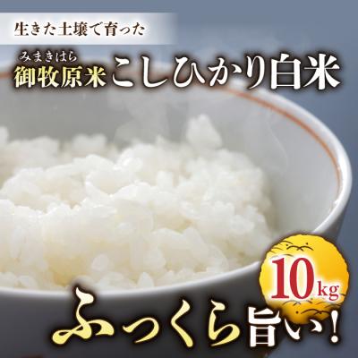 ふるさと納税 東御市 【先行受付2026年発送】長野県産!生きた土壌で育った御牧原米こしひかり 白米(八分づき)10kg