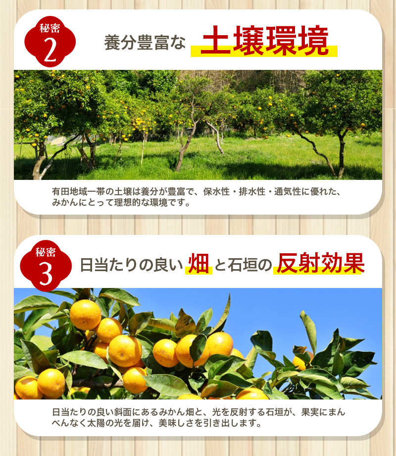 【2025年12月発送予約分】＼光センサー選別／農家直送 こだわりの有田みかん 約2kg＋250g(傷み補償分)【ご家庭用】【12月発送】みかん ミカン 有田みかん 温州みかん 柑橘 有田 和歌山 ※
