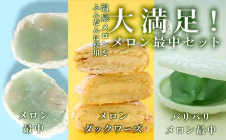メロン最中セット[B]　 【 お菓子 スイーツ デザート 】