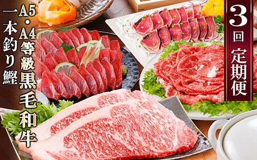 定期便(3回配送)枕崎お楽しみ便(黒毛和牛サーロイン・一本釣りかつおたたき・さしみ) LL−6006【配送不可地域：離島】【1462806】