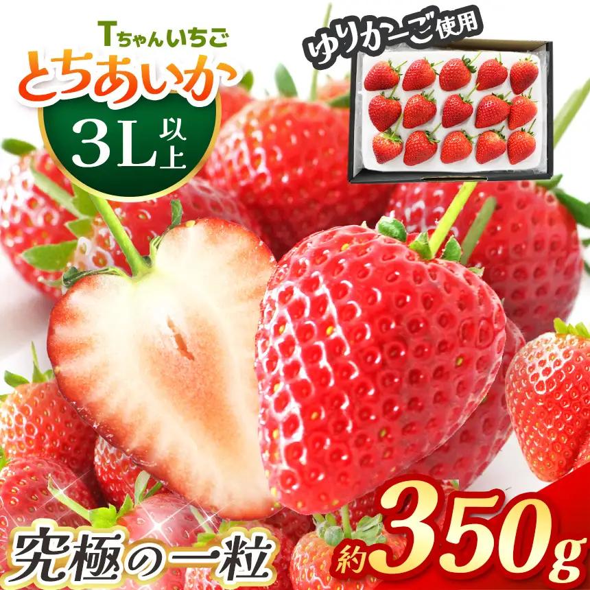【2027年 先行予約】とちあいか３L以上ホール詰め 約350g