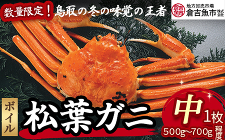 【倉吉魚市】ボイル松葉がに（中 1枚：500g～700g程度） 松葉ガニ かに カニ 蟹 ボイル 新鮮  