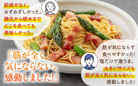 【2025年4月以降順次発送】 グリーンアスパラガス 1kg （S/露地栽培）《喜茂別町》【久保田農園】 アスパラ アスパラガス グリーンアスパラ 冷蔵 冷蔵配送 野菜 春野菜[AJAM009]