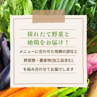 【12回定期便】地鶏・丹波黒どり＆旬の京野菜詰合せ　毎月お届けコース（全12回）※沖縄・離島・諸島へのお届け不可