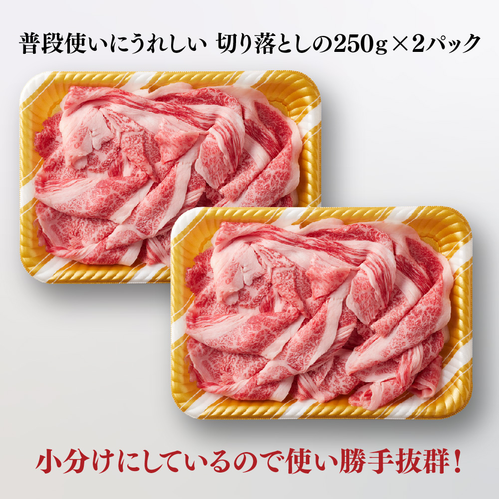 艶さし!【A4～A5】佐賀牛大判霜降り贅沢切り落とし 500g(250g×2P)【佐賀牛 切り落とし 霜降り 肩ロース 大判 一枚肉 薄切り 250g 小分け】(H112340)