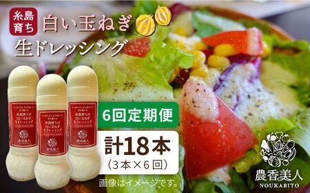 【 全6回 定期便 】糸島 そだち の 白い玉ねぎ 生 ドレッシング （ホワイト） × 3本 セット 《糸島》【農香美人】[AAG028]