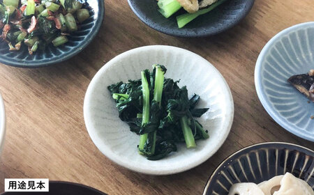 【美濃焼/みずなみ焼】 しのぎ プレートS 5色各1枚セット 瑞浪市 / 山喜製陶 食器 皿 小皿 取皿[AZCP100]