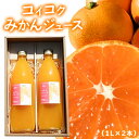 【ふるさと納税】コイコクみかんジュース1L×2本《30日以内に出荷予定(土日祝除く)》和歌山県 紀の川市 みかん フルーツ 果物