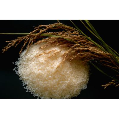 ふるさと納税 北上市 ＜令和7年産＞岩手県北上市産ひとめぼれ(精米) 8kg(2kg×4袋) |  | 01