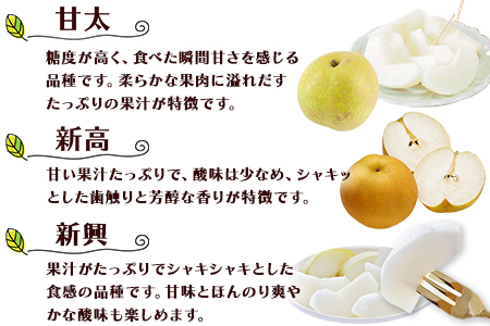 梨 坂村梨園 約3kg 4～10玉前後｜玉東梨