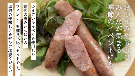 ウインナー 5種 食べ比べ セット つまごいキャベツ入り ソーセージ 豚肉 スモーク キャベツ 冷凍 お弁当 弁当 おかず おつまみ BBQ バーベキュー パーティー [AH045tu]