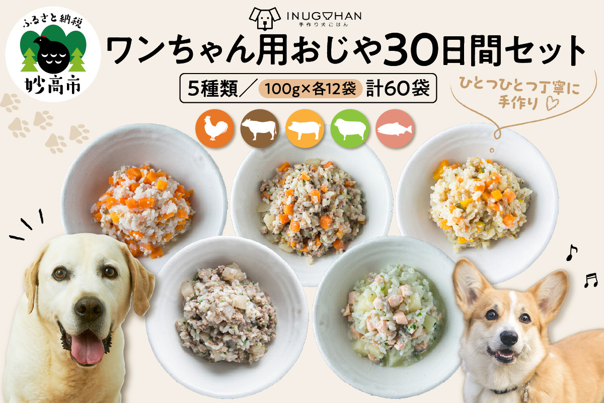 
            ワンちゃん用おじや30日間セット【各100g×12袋(計60袋)】
          
