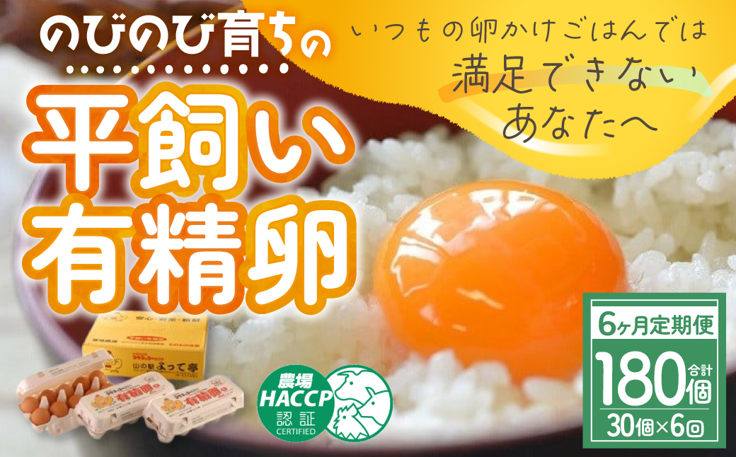 JK-05　【6ヶ月定期便】のびのび育ちの平飼い有精卵（30個×6ヶ月）