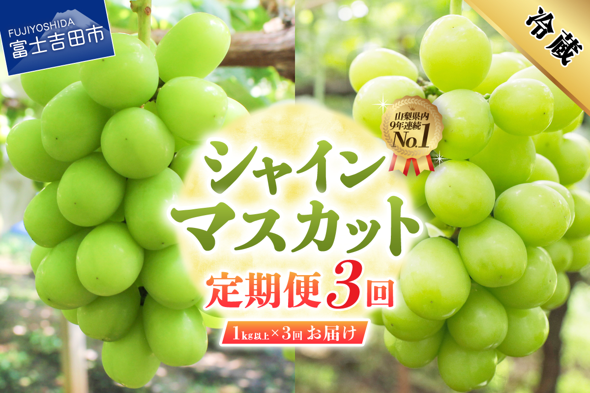 【2026年発送】【3回定期便】ジューシーで甘さ抜群 厳選シャインマスカット1kg以上×3回配送