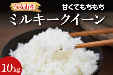 ★令和8年度 新米★甘くてもちもち ミルキークイーン 精米10kg｜米 お米 こめ ミルキークイーン 令和8年産 R8年産 白米 茨城県 行方市(BR-3-1)