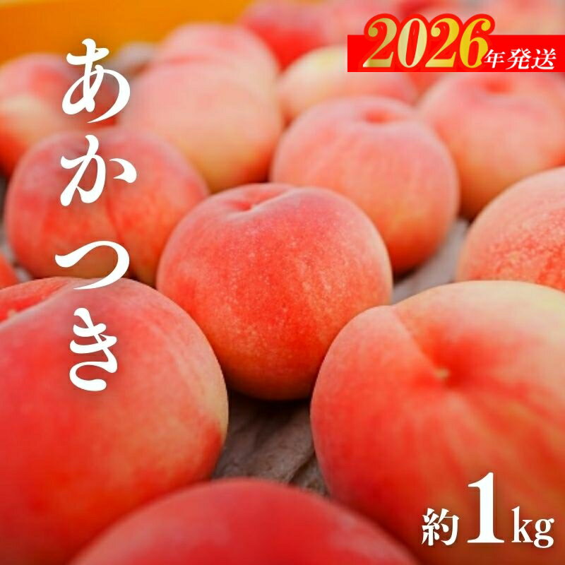 【ふるさと納税】No.3008 桃（あかつき）約1kg【2026年発送　先行予約】