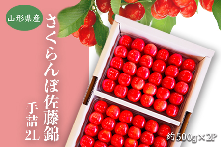 【2025年6月発送分先行受付】「秀品」さくらんぼ佐藤錦1kg（2L玉以上・化粧箱・贈答用手詰）_H038(R7)