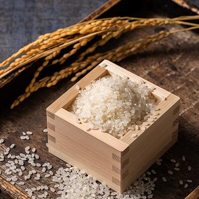 ふるさと納税 藤崎町 青森県産　青天の霹靂　白米10kg |  | 01