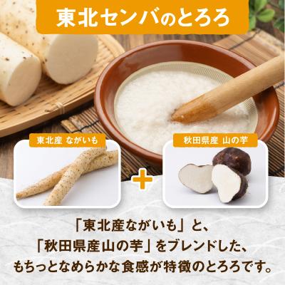 ふるさと納税 大館市 冷凍とろろ1キロセット(50g×20袋) |  | 01