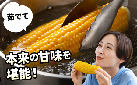 【令和7年度出荷先行予約！】北海道岩見沢市産とうもろこし2Lサイズ24本【11112】