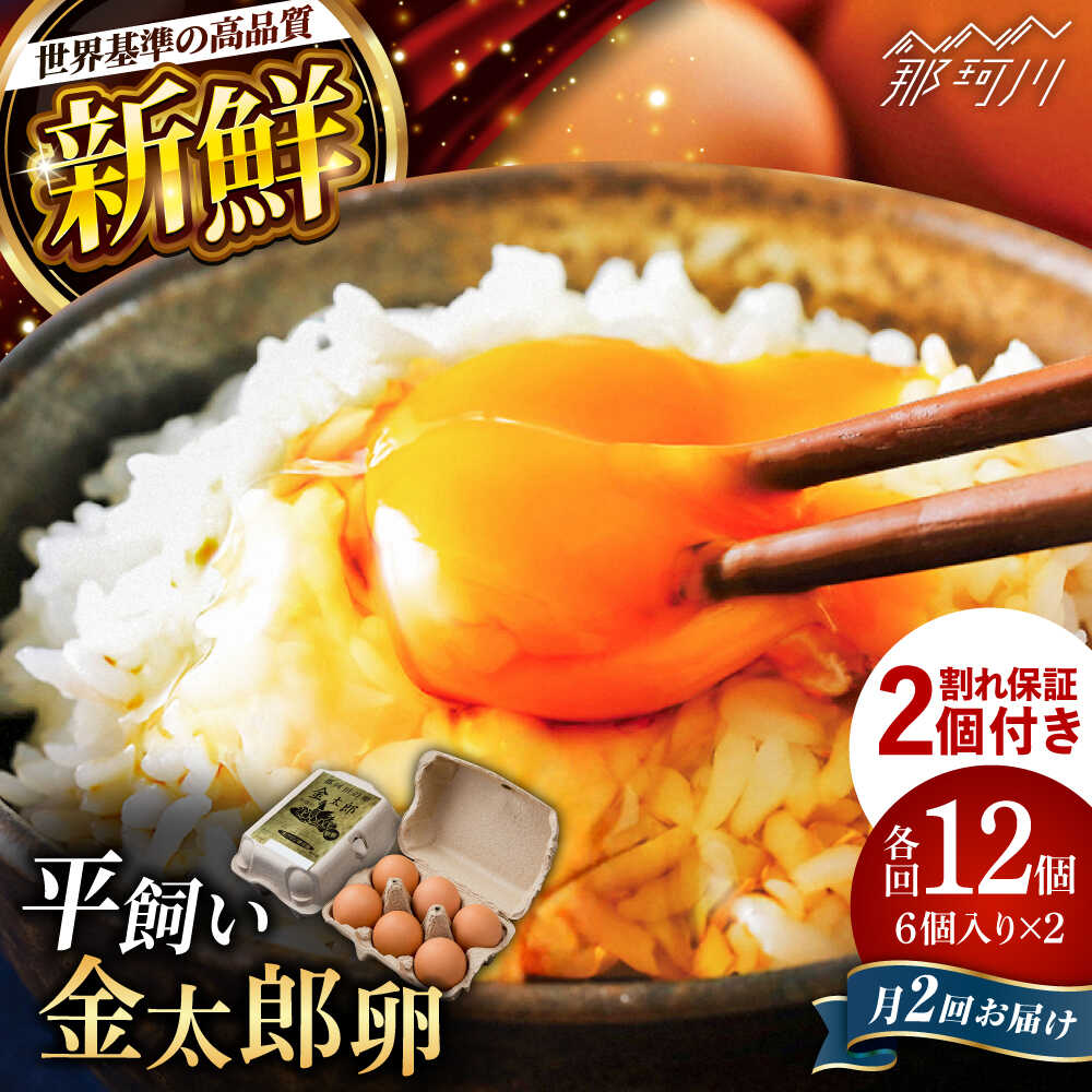 【ふるさと納税】＼月2回発送／【TVで紹介！】【鮮度AA級の世界最高ランク！】金太郎卵 たまご 定期便 平飼い 卵 新鮮 赤卵 人気 新鮮 たまご 計24個(12個×月2回)＜有限会社フジノ香花園＞那珂川市[GAM036]