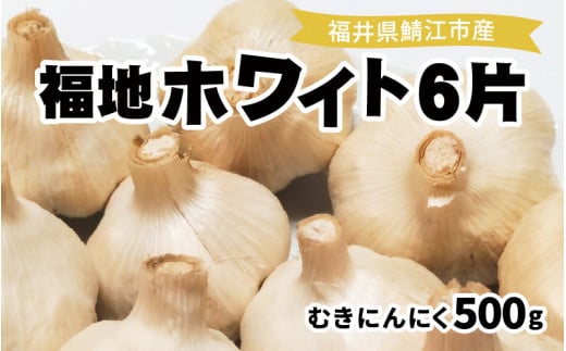 福井県産福地ホワイト6片むきにんにく 500g/ニンニク 国産 調理 料理 ガーリック お手軽 イタリアン 中華 こだわり ふるさと納税[A-10205]