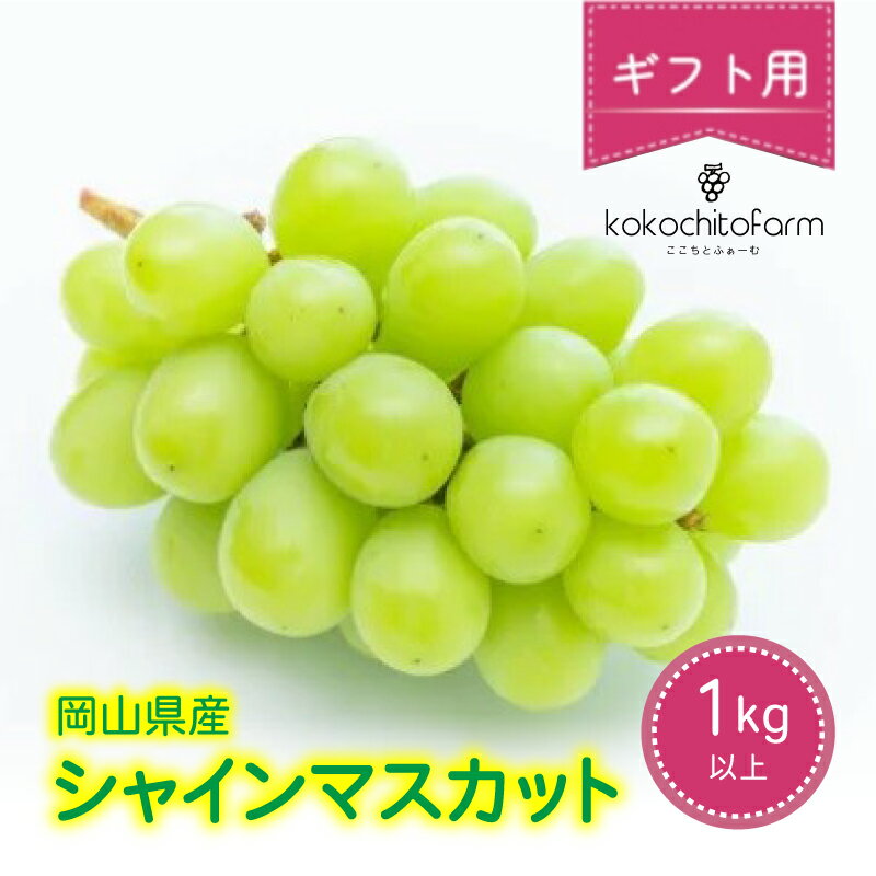 【ふるさと納税】 【2026年先行予約】 ここちとふぁーむ 【ギフト】 岡山県産 シャインマスカット 2～3房 1kg以上【9月中旬〜11月中旬頃順次発送予定】/ 果物 くだもの フルーツ 葡萄 ぶどう シャインマスカット 岡山県産