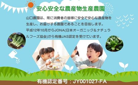 農家のたっぷり野菜カレー 10個／ふるさと納税 レトルトカレー 詰め合わせ 無添加 ギフト 10食 野菜 ふるさと 有機野菜 オーガニック 飯 簡単 時短 保存食 奈良県 宇陀市 山口農園