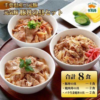 ふるさと納税 多古町 元気豚　豚丼の具セット(3種8食入)