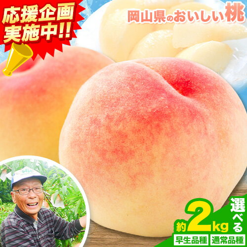 【ふるさと納税】【6月中旬〜7月上旬頃発送予定】【7月中旬〜8月上旬頃発送予定】内容が選べる 桃 2kg もも 岡山 はなよめ 白川白鳳 白鳳 紅清水 よし姫 なつおとめ 川中島白桃 岡山県 笠岡市 送料無料 果物 フルーツ お取り寄せ