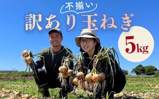 
            《先行予約》 2026年発送 ＜訳アリ＞ うまみたっぷり！ 不揃い 玉ねぎ 5kg たまねぎ タマネギ 玉葱 野菜 訳あり ワケアリ F6Q-150
          