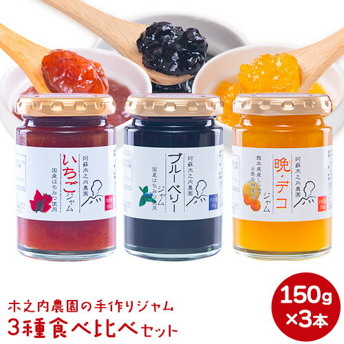 【ふるさと納税】木之内農園の手作りジャム　3種食べ比べセット 150g×3本 《30日以内に出荷予定(土日祝を除く)》 熊本県南阿蘇村 ジャム いちご ブルーベリー 晩白柚 不知火 デコ 苺 大粒 乗せるジャム