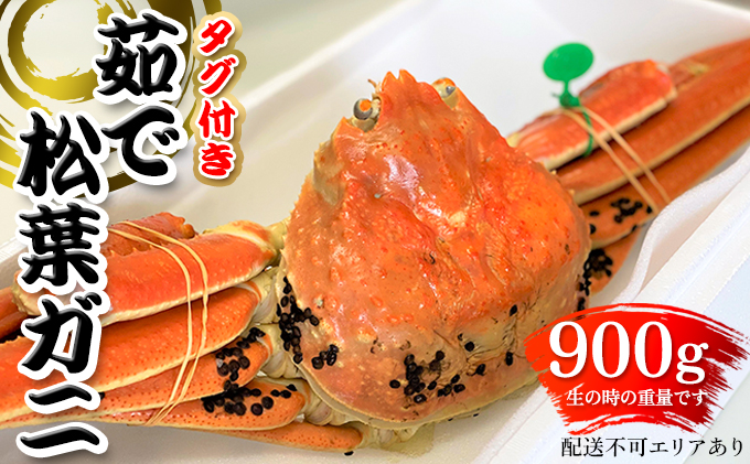 【ふるさと納税】 松葉ガニ 茹で タグ付き 900g up お届け 《2024年11月中旬〜12月中旬、もしくは、2025年1月中旬以降以降順次発送》