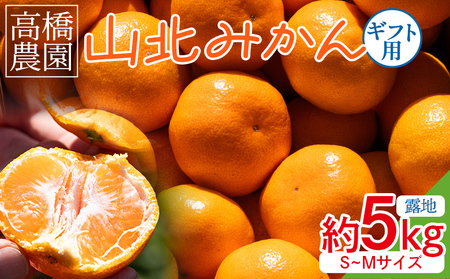 【2026年11月中旬より順次配送】山北みかん 約5kg 甘い みかん th-0029