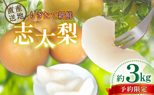【早期予約 2026年8月以降出荷】 梨 3kg 志太梨 静岡県産 果物 フルーツ 産地 直送 家庭用 なし 藤枝産梨 甘い梨 限定 旬の梨 静岡県 藤枝市