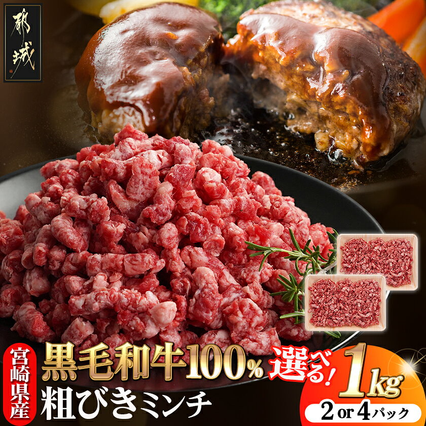 【ふるさと納税】【用途で選べる！】宮崎県産黒毛和牛100％ミンチ 1kg - 宮崎県産黒毛和牛 ミンチ 粗びき 500g×2P/250g×4P 合計1kg 牛ひき肉 冷凍 牛肉 送料無料 SKU-E903【宮崎県都城市】