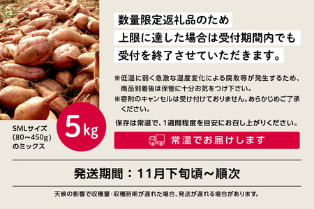 種子島安納いも（本場種子島産）5ｋｇ【南種子町観光物産館 トンミー市場】